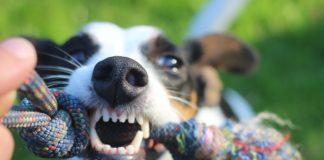 Снимката е илюстративна. Източник: Пиксабай