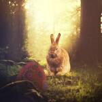 Снимка: Пиксабей