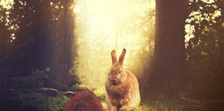 Снимка: Пиксабей