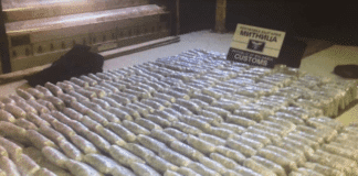 Снимка: МВР