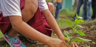 Снимката е илюстративна. Източник: Пиксабай