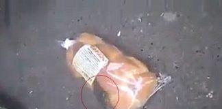 Плъх в козунак