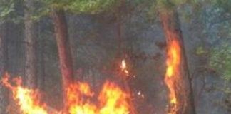 Горски пожар