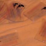 Неутрализира е престъпна група