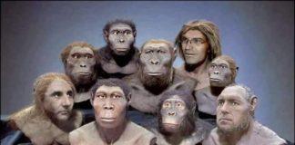 Късочели примати