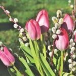 Снимка: Пиксабай