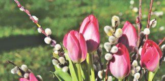 Снимка: Пиксабай