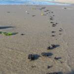 Замърсяване