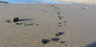 Замърсяване