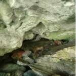 Снимка: Искра.бг