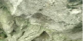 Снимка: Искра.бг