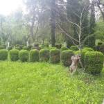 Парк "Небесните пасбища"