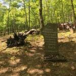 Парк "Небесните пасбища"