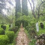 Парк "Небесните пасбища"