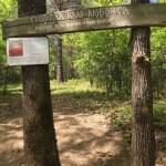 "Портал в гората"