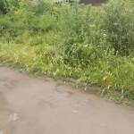 Село Русокастро, улица