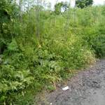 Село Русокастро, улица