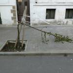 Снимка: Искра.бг