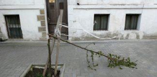 Снимка: Искра.бг