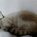 Снимка: личен архив на Максим