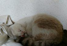 Снимка: личен архив на Максим