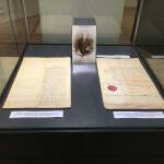 "Всичко се състои в нашите сдружени сили"