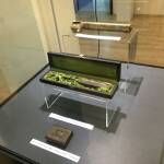 "Всичко се състои в нашите сдружени сили"