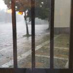 Градушка в Левски