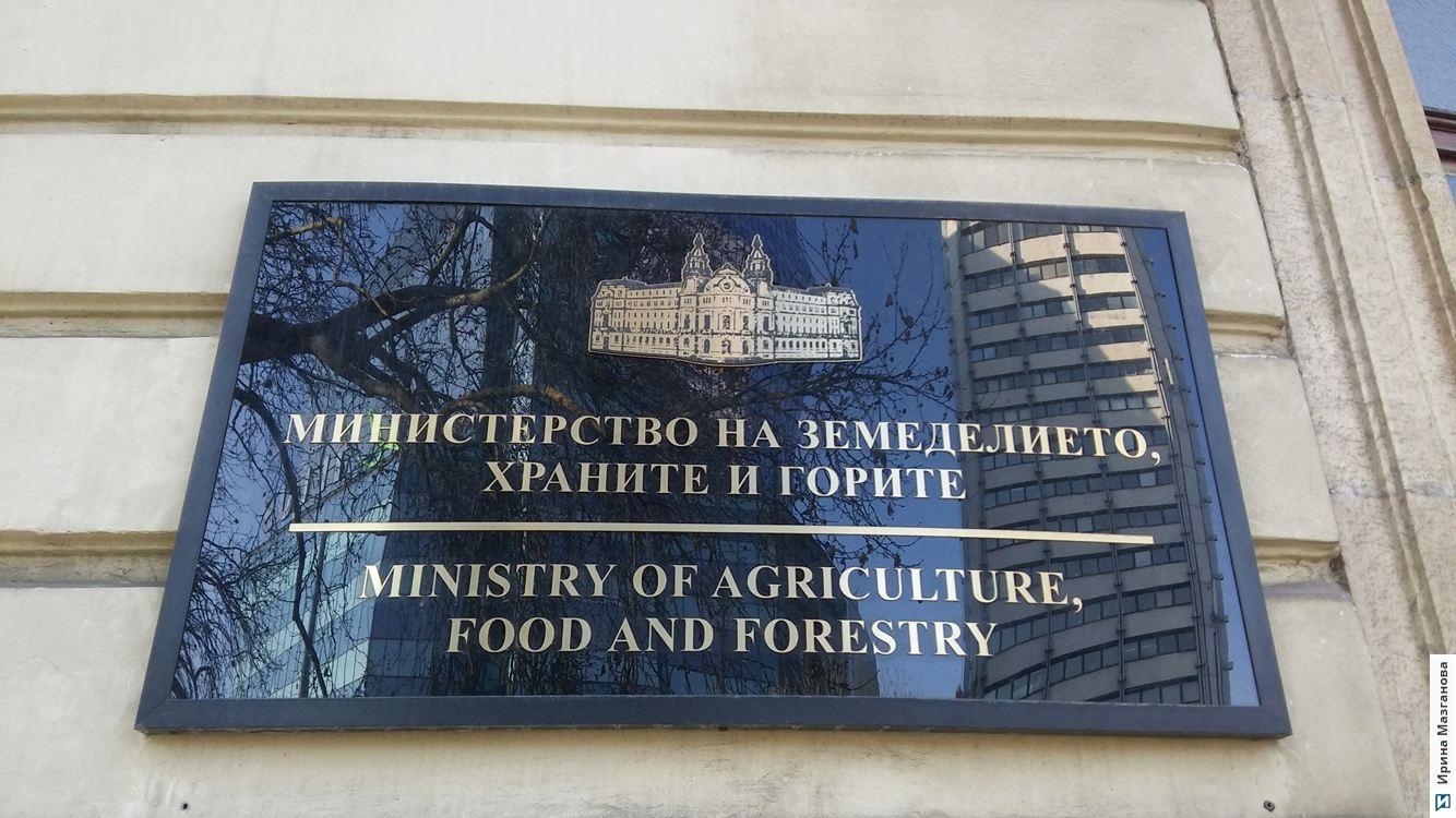 От Министерството на земеделието и храните /МЗХ/ разпространиха позиция по