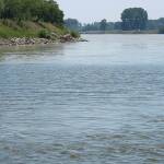 Река Дунав. Снимката е илюстративна