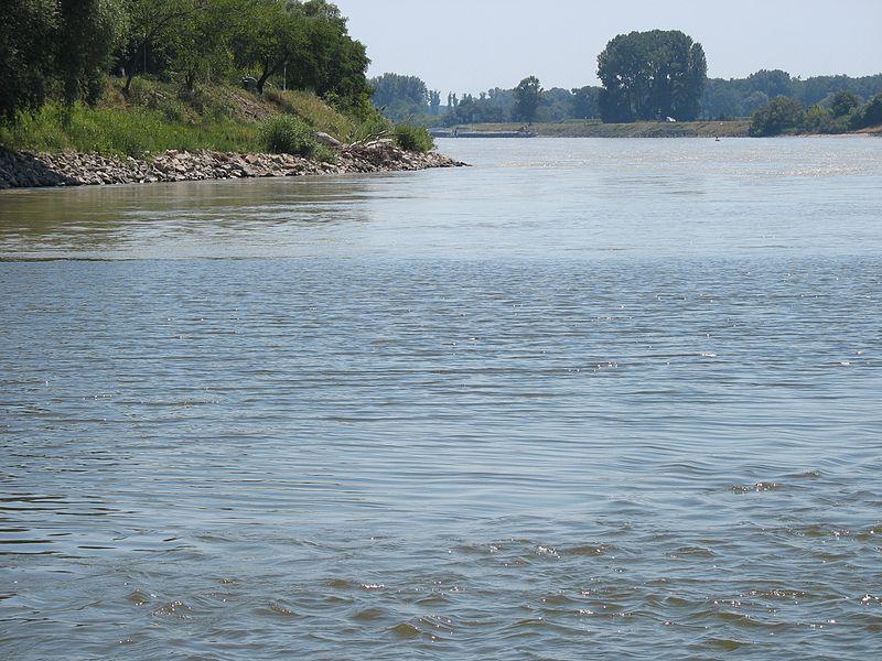 Издирват във водите на река Дунав 15 годишно момче Тийнейджърът е