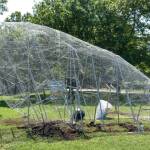 Риба до сърф базата в Морската градина