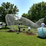 Риба до сърф базата в Морската градина