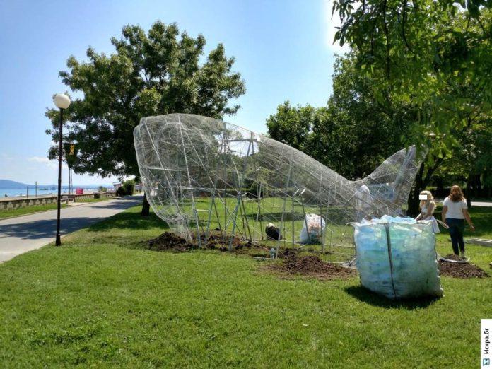 Риба до сърф базата в Морската градина