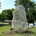 Риба до сърф базата в Морската градина