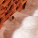 Хлебарка в търговска верига