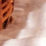 Хлебарка в търговска верига