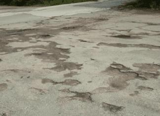 Дупки