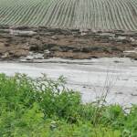 Разчистване на път