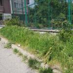 Мръсотия в Асеновград