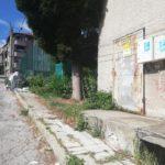 Мръсотия в Асеновград
