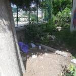 Мръсотия в Асеновград