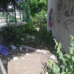 Мръсотия в Асеновград