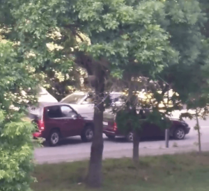 Снимка: скрийншот от видеото