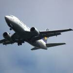 Снимката е илюстративна. Източник: Wikimedia commons