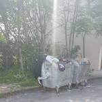 Снимка: Динко Динев