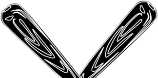 Снимка: Пиксабай