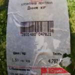 Снимка: Дани Йорданова