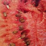 Снимка: Дани Йорданова