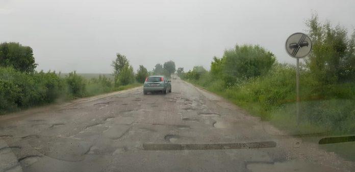 Снимка: Андрей Едрев